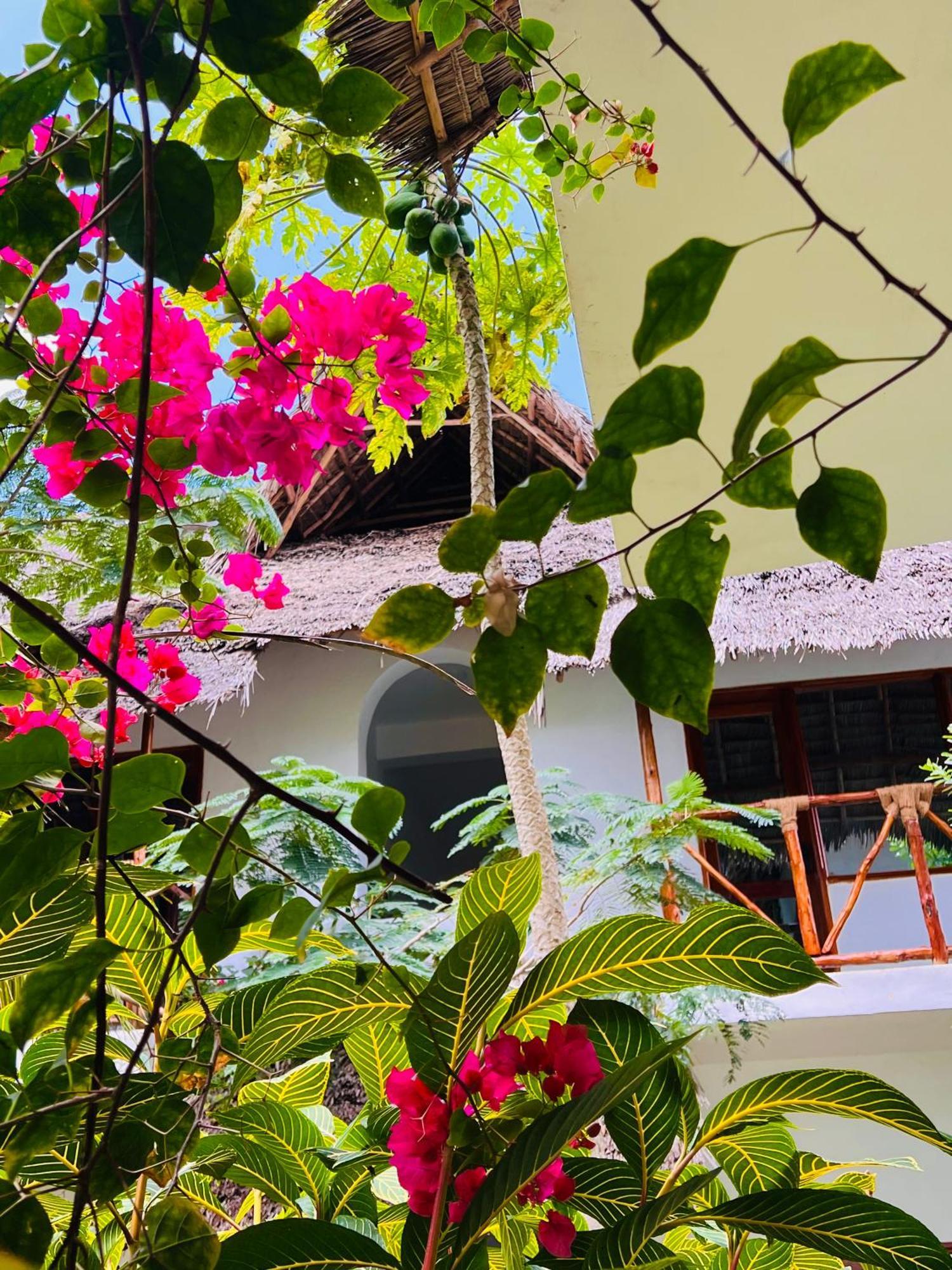 Tropical Nungwi酒店 外观 照片
